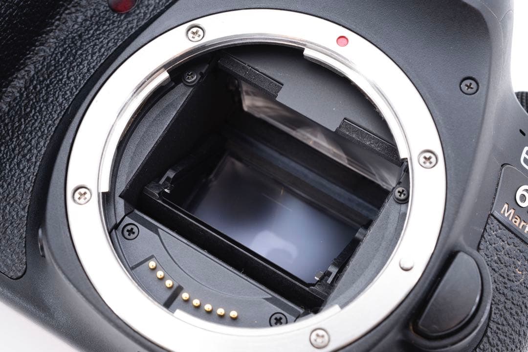 保証付きCanon EOS 6D Mark II 標準&望遠ダブルレンズセット