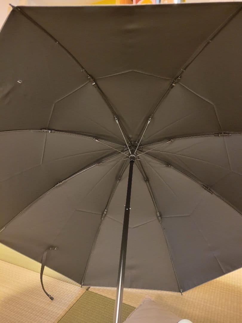 サンバリア100　 2段折/フロスト/グレー