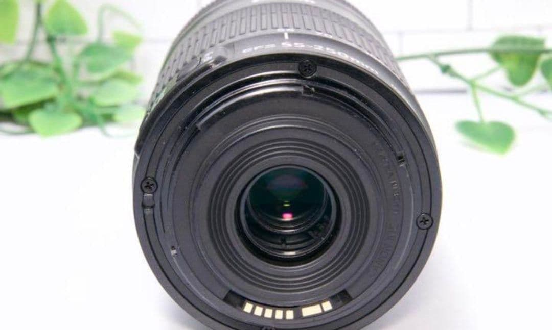 2月13日限定【望遠レンズ】Canon EF-S 55-250mm IS STM