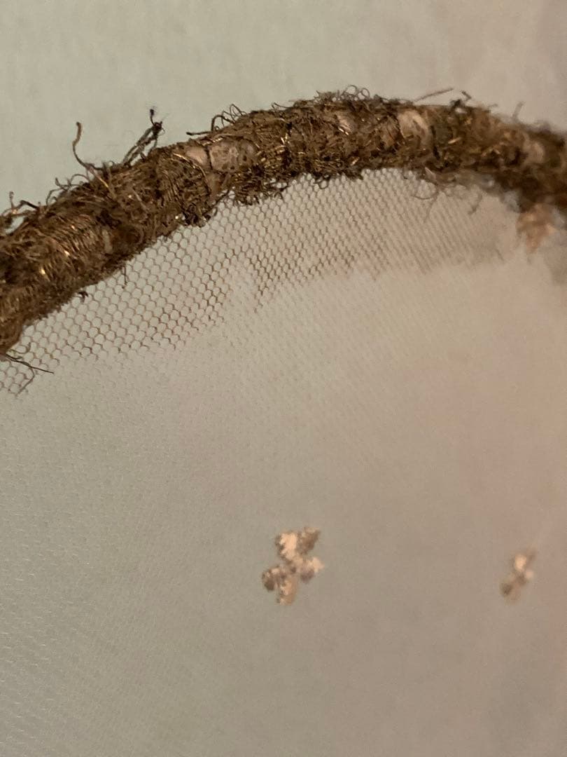 フランスアンティーク　レースの羽 チュールレース オブジェ