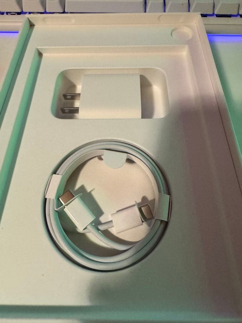 仮出品 iPad mini (第6世代) Wi-Fi 64GB パープル