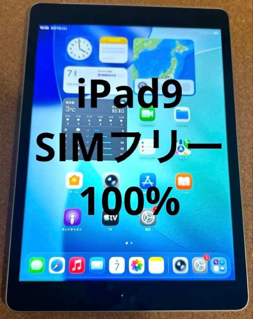 Apple iPad9 第9世代 64GB (10)