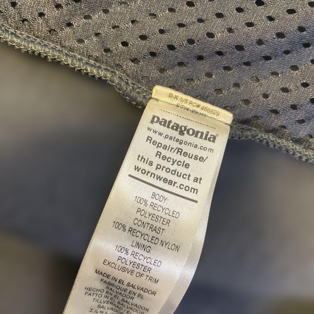 シンチラベスト