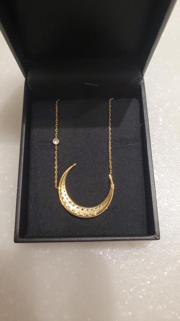 【本日だけ特別価格】LKサロン 月大 天然ダイヤモンド K18YG ネックレス