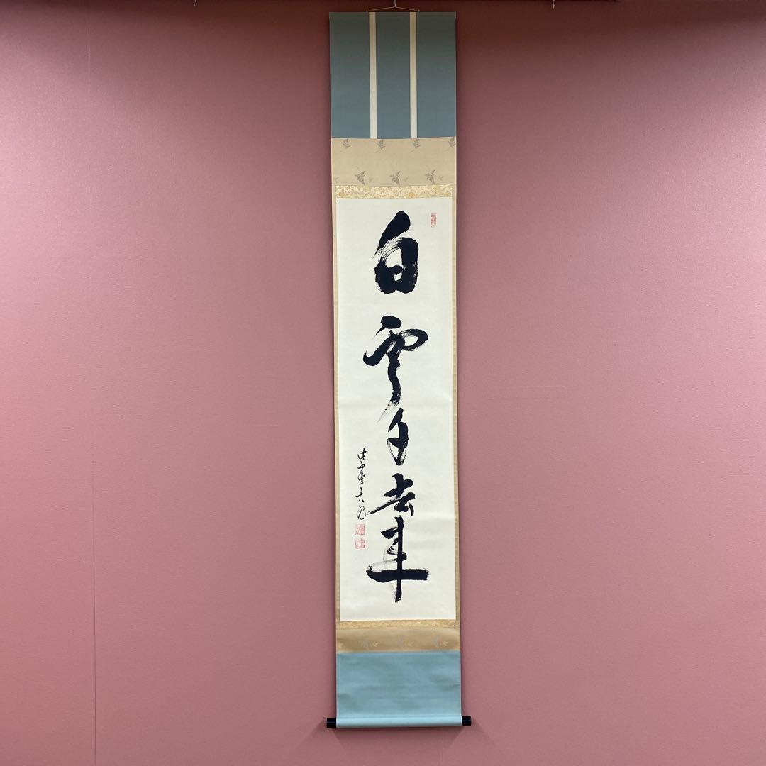 美品 掛け軸 大徳寺 立花大亀作「白雲自去来」共箱 中島静好堂表具 茶掛け