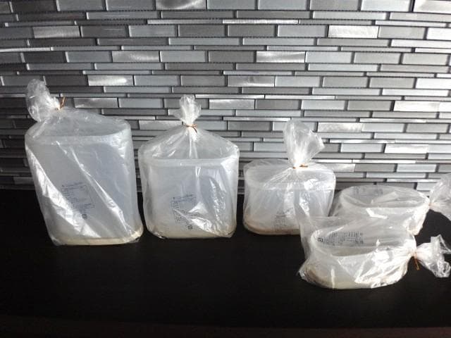 新品★タッパーウェア★5点セット★MMだ円★保存容器★オーバル★