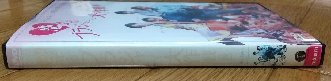 恋するブラジャー大作戦(仮) DVD レンタル落ち 廃盤