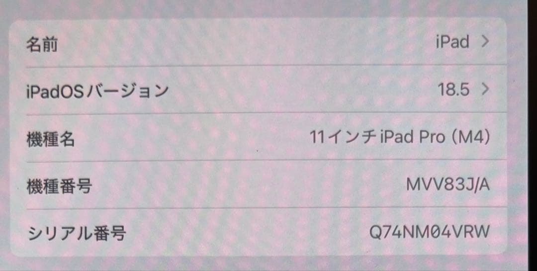 11インチiPad Pro Wi-Fiモデル256GB(標準ガラス搭載)第五世代