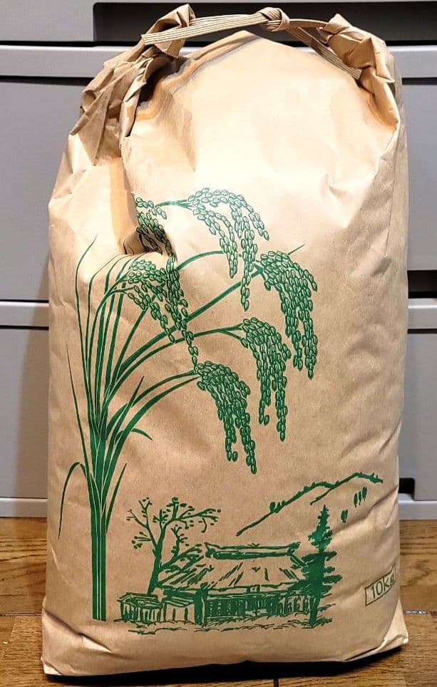 新潟県産 コシヒカリ 11㎏ 1袋