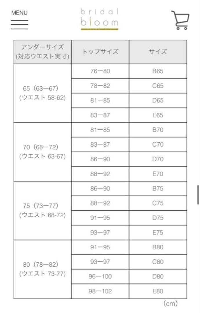 bridal bloom ブライダルインナー セット