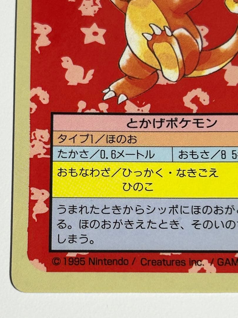 ポケモン トップサン ヒトカゲ 裏青