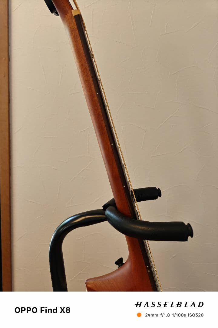 アヌエヌエ aNueNue Bird Guitar aNN-M1