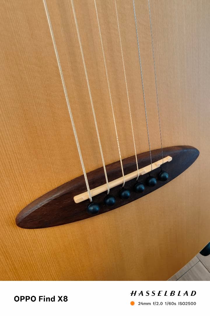 アヌエヌエ aNueNue Bird Guitar aNN-M1