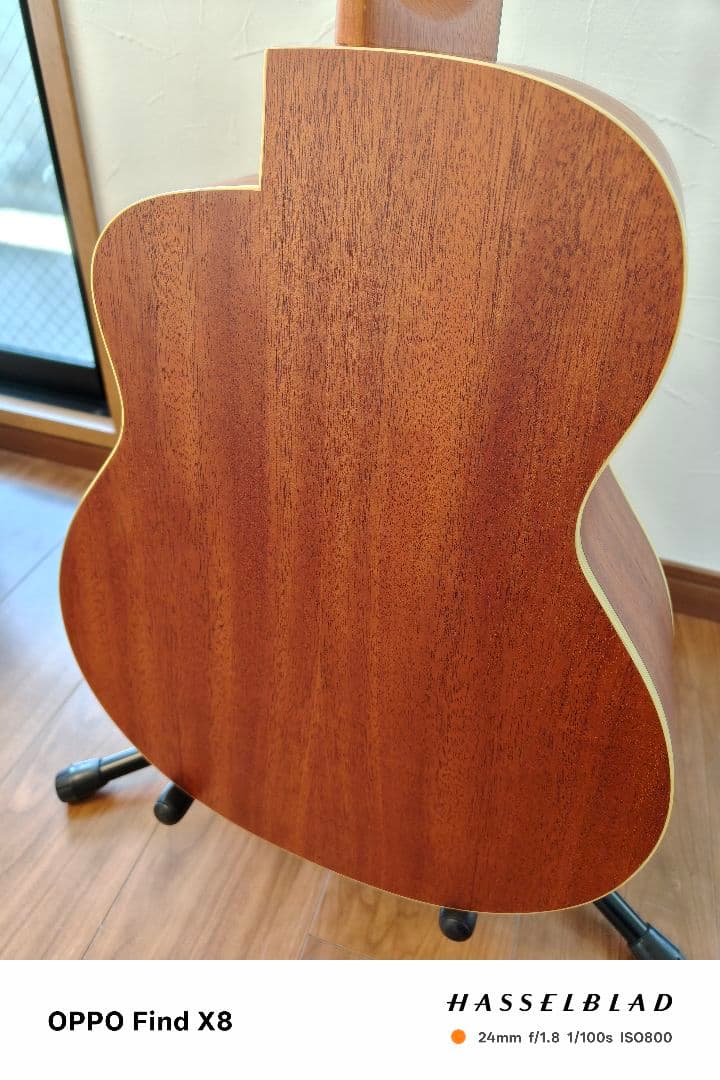 アヌエヌエ aNueNue Bird Guitar aNN-M1