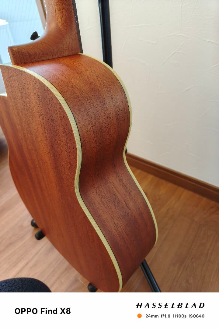 アヌエヌエ aNueNue Bird Guitar aNN-M1