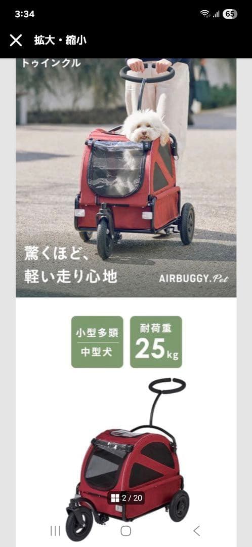 エアーバギートゥインクル(中古)