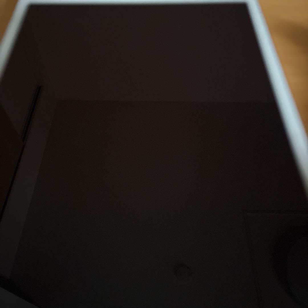 iPad本体 iPadmini