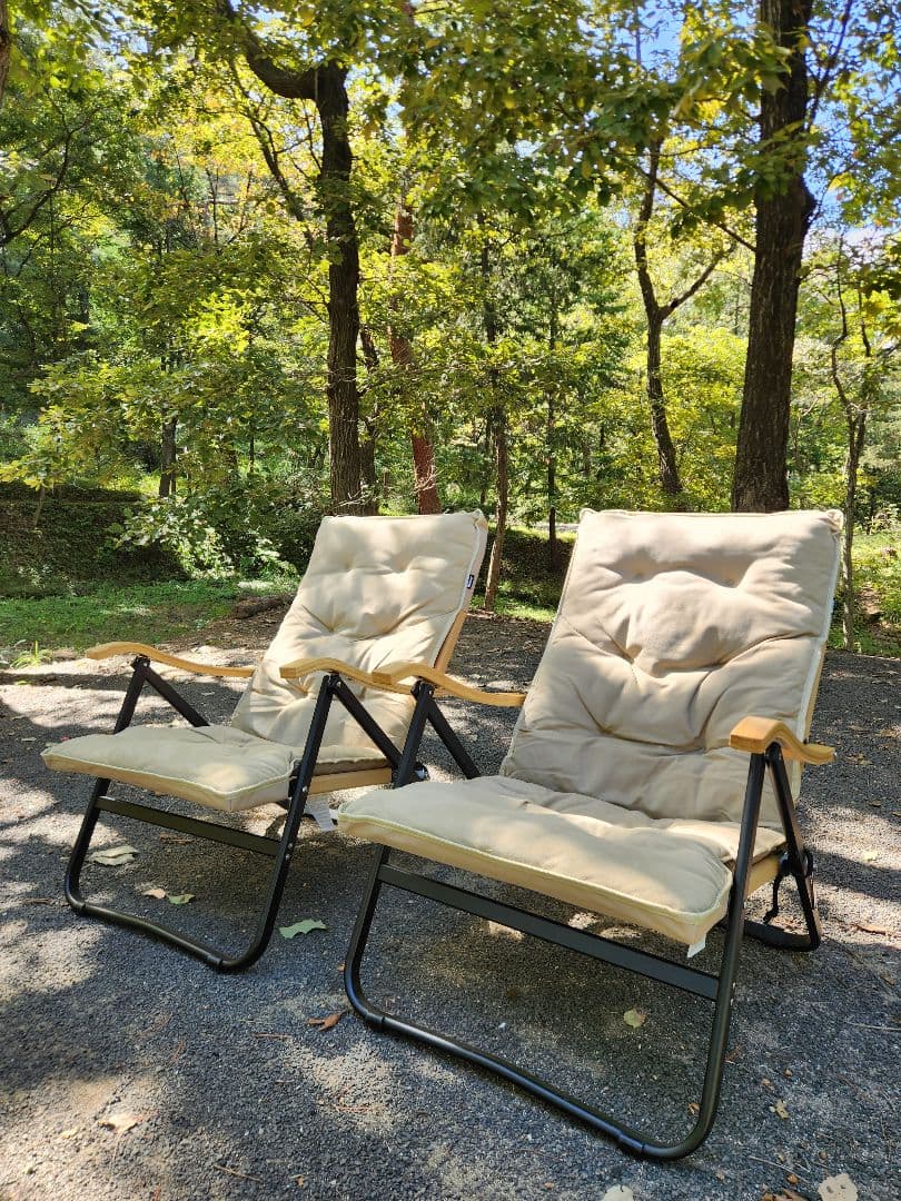 Onway オンウェー コンフォートローチェア 2脚　収納ケース付き