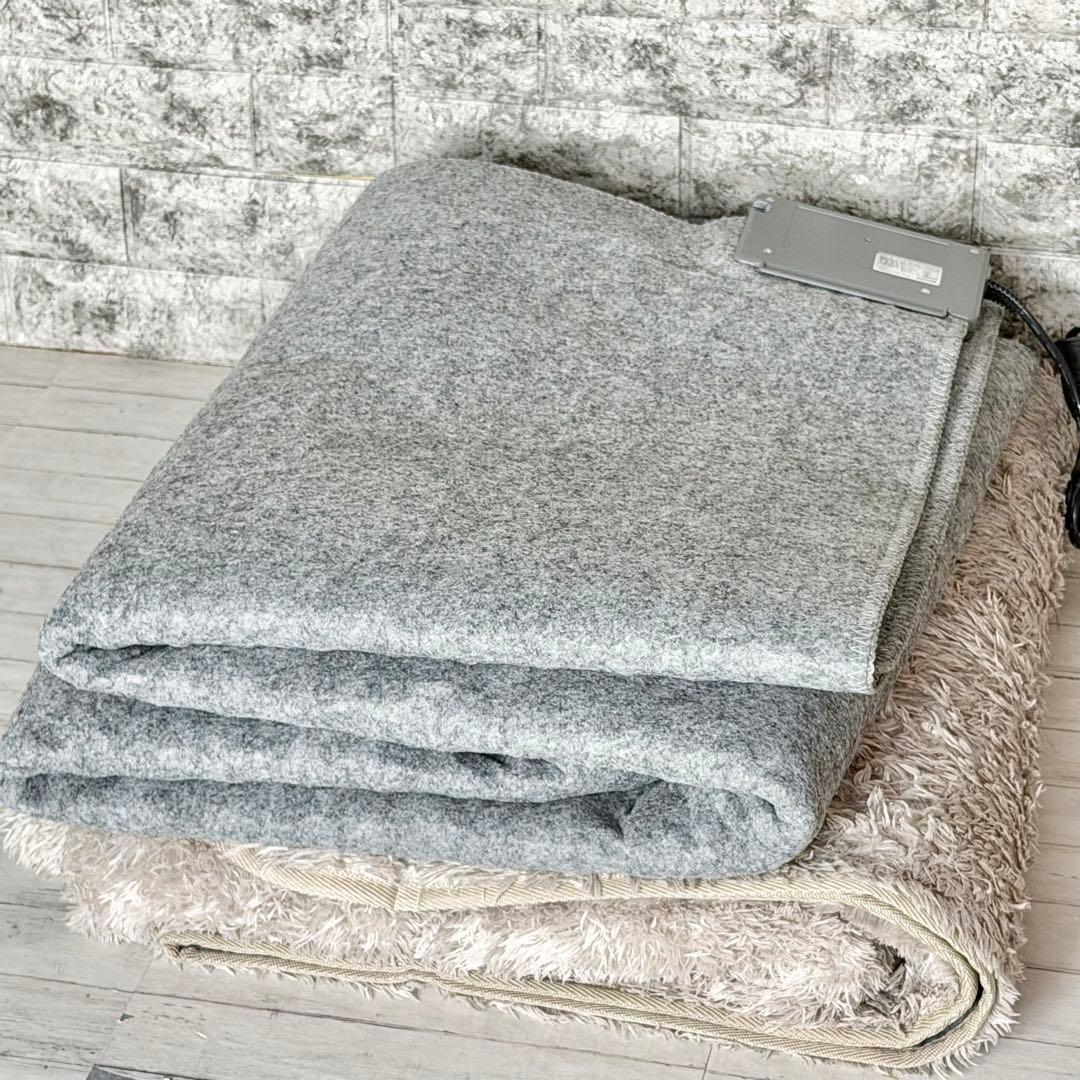 アイリスオーヤマ 2畳相当ホットカーペット 専用ラグ付き