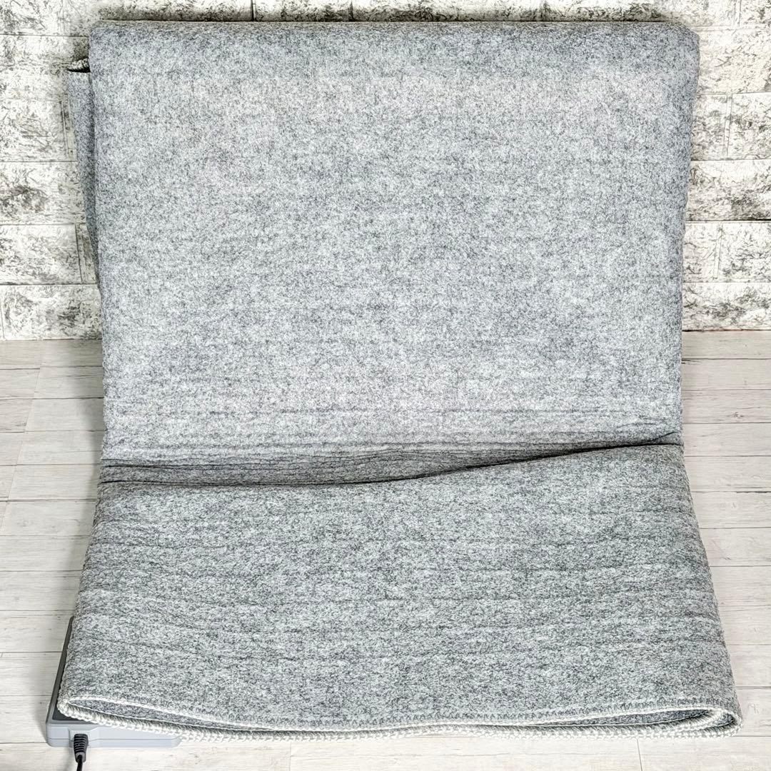 アイリスオーヤマ 2畳相当ホットカーペット 専用ラグ付き