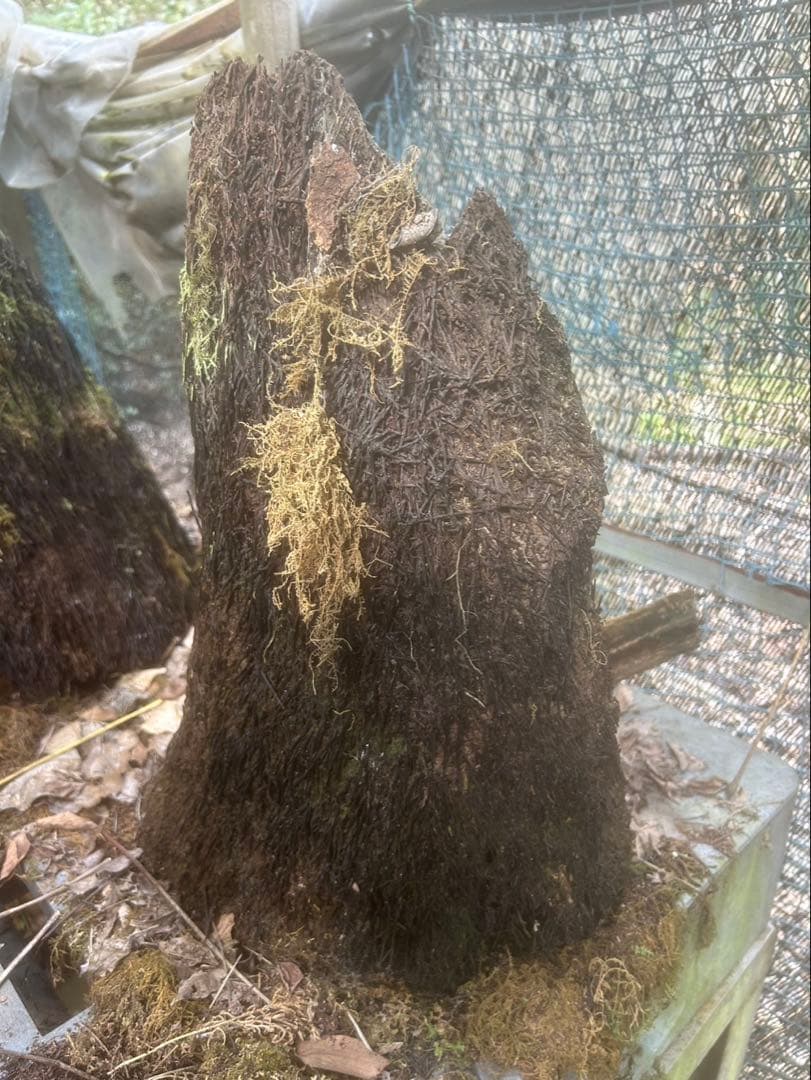 shigno2020さん専用取引