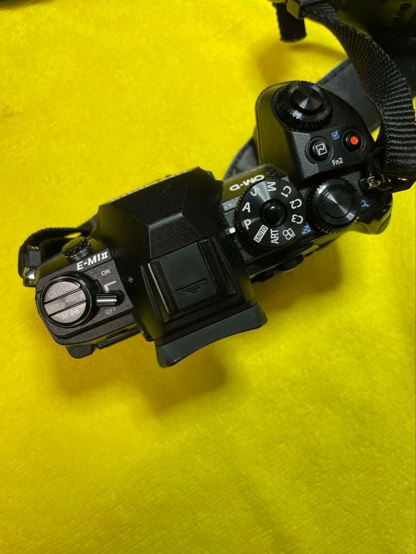 OLYMPUS OM-D E-M1 MarkⅡ