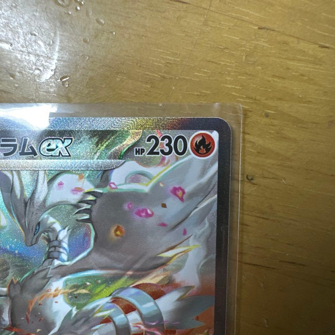 レシラム ex SAR ＆ Nのレシラム AR 完美品！