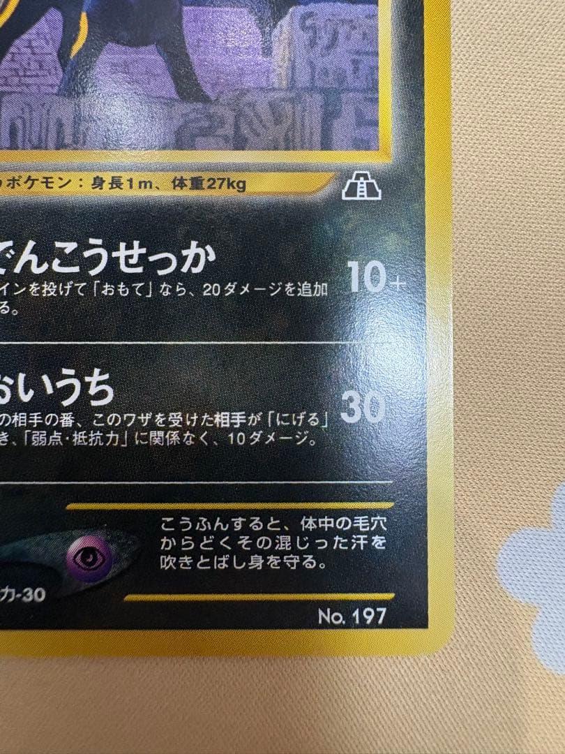 ブラッキー プレミアムファイル2 PROMO 第2世代　PRE2