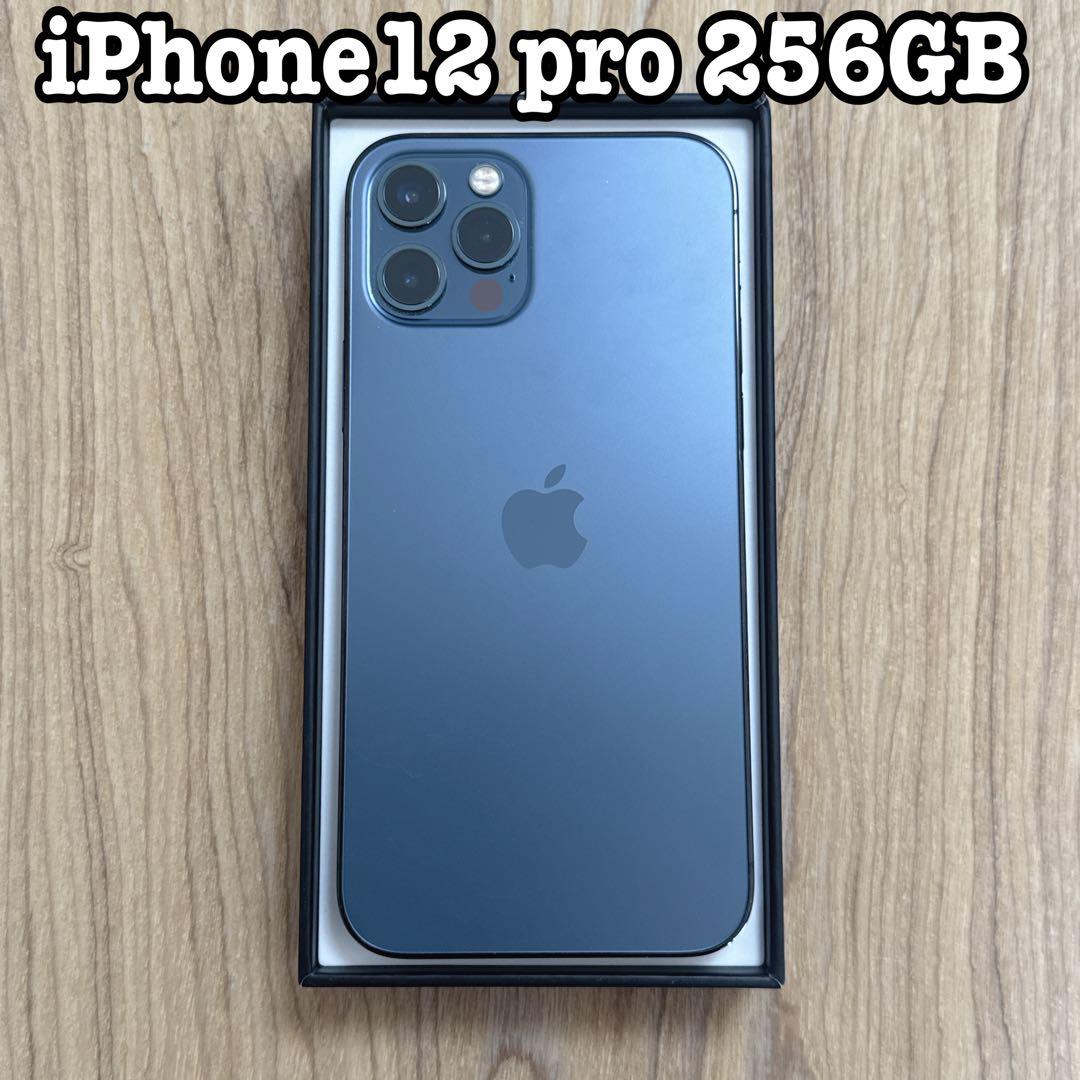 iPhone 12 Pro 256GB グラファイト
