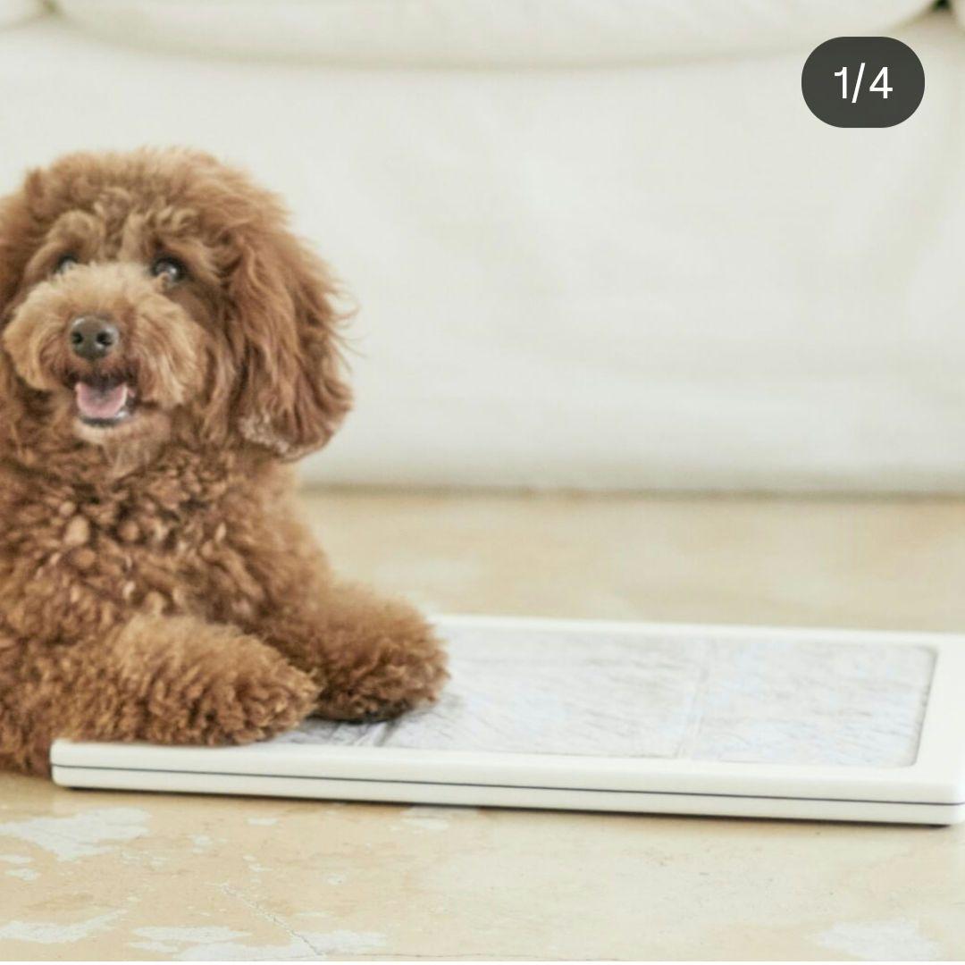 専用　47000円　we original 人工大理石 犬 トイレ