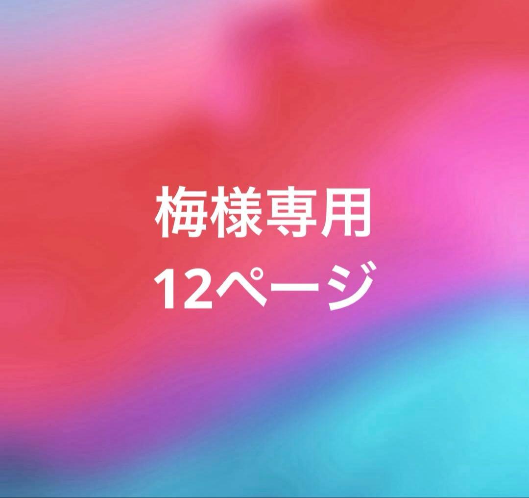 梅12ぺージ