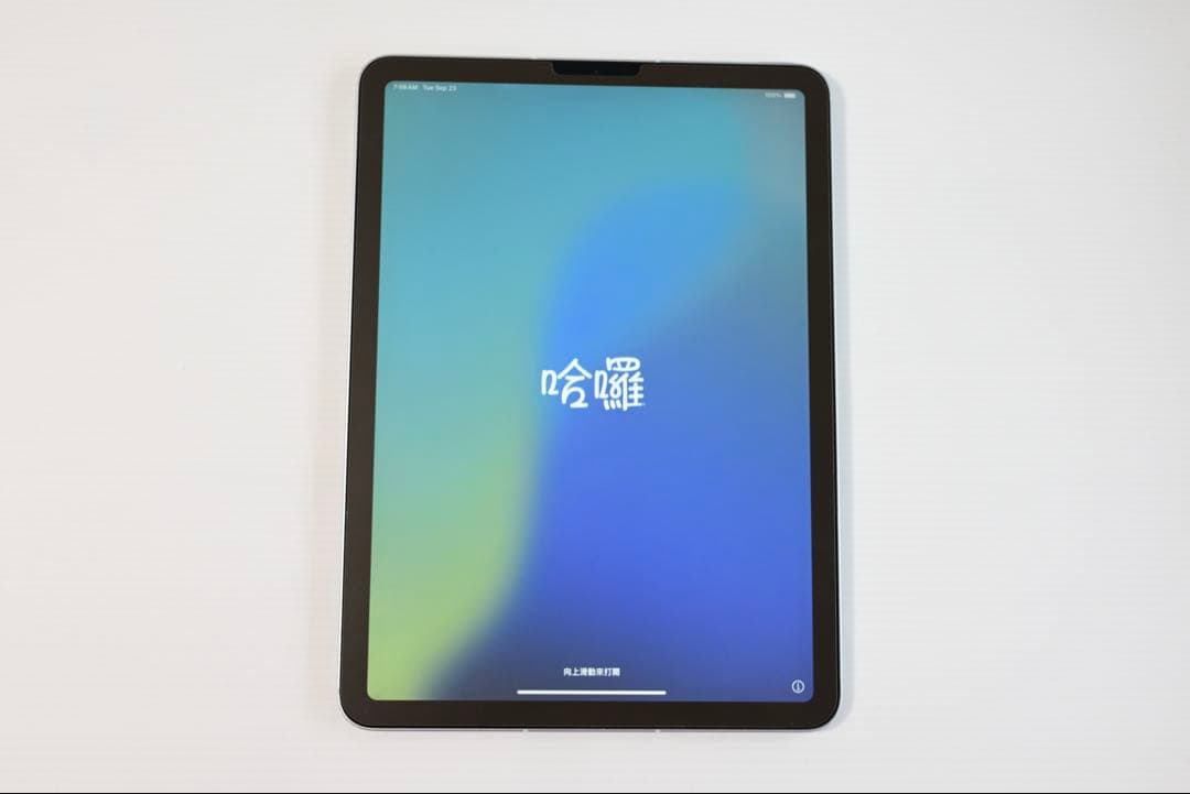 【最終値下げ】iPad Air4 256GB Cellular SIMフリー