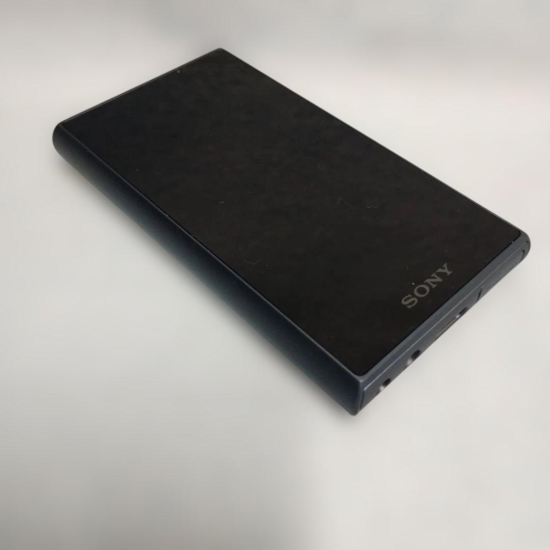 SONY WALKMAN NW-A106（美品、ケース付） Aシリーズ
