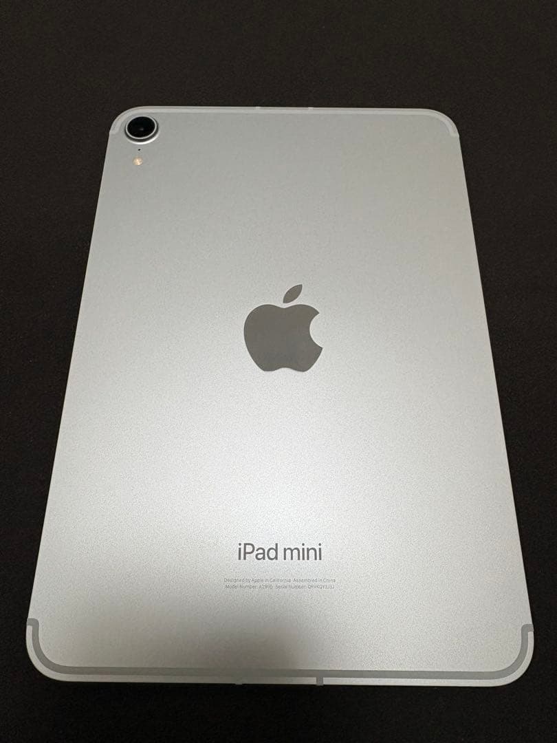 iPad mini A17pro 256GB セルラー 【アメリカ版】