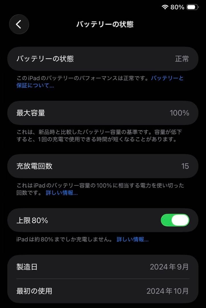 iPad mini A17pro 256GB セルラー 【アメリカ版】