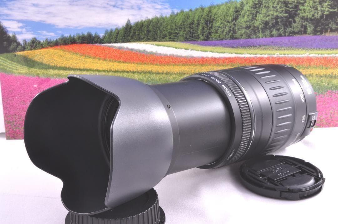 フード付き！Canon キヤノン EF90-300mm 望遠レンズ 整備済み。