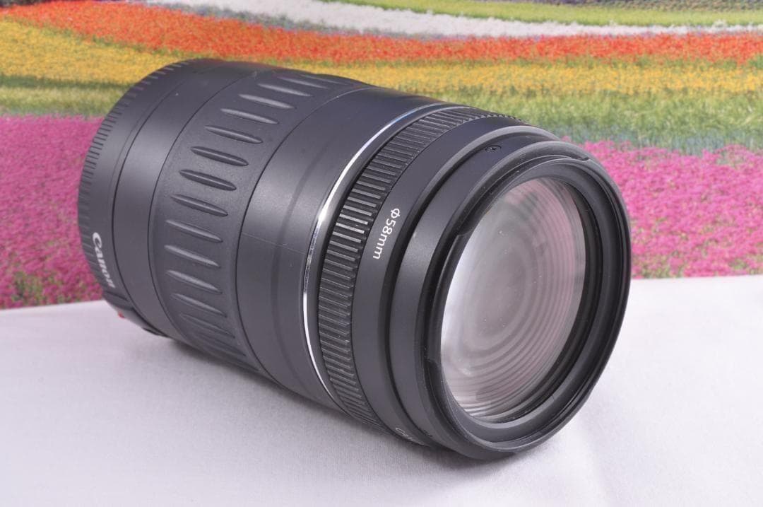 フード付き！Canon キヤノン EF90-300mm 望遠レンズ 整備済み。