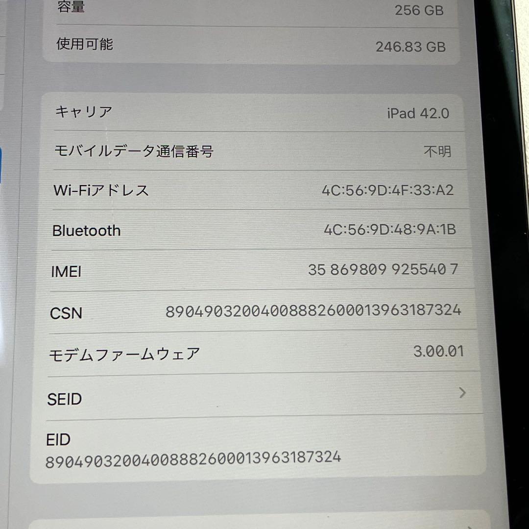 Apple iPad Pro11インチ スペースグレー 256GB A1934