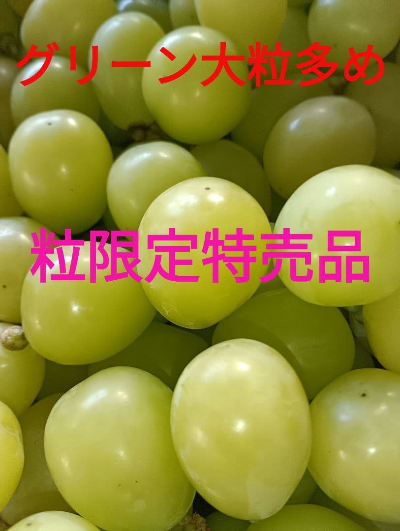 シャインマスカット増量の、徳用5.5キロ入りの粒バック入りになります。