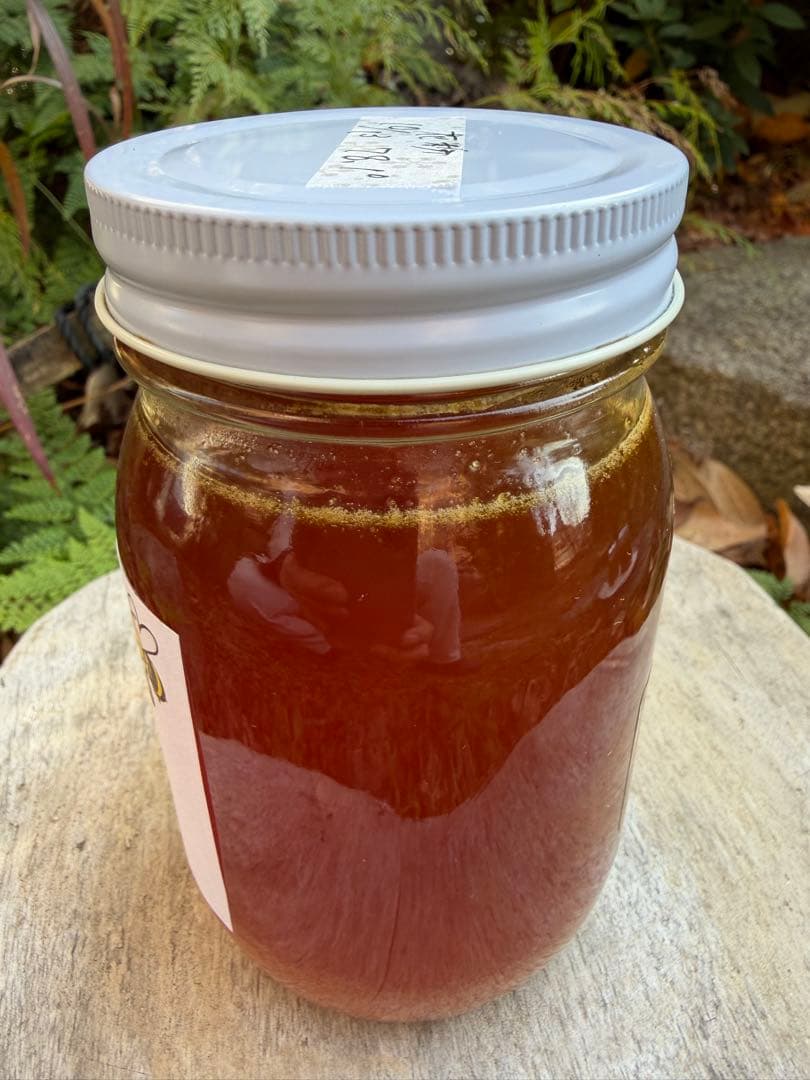 ハチミツ　日本蜜蜂の蜂蜜　花粉入りはちみつ　奥山の奥