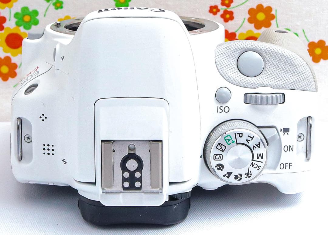 キャノン Canon kiss x7☆希少ホワイト☆スマホに転送☆高性能レンズ！