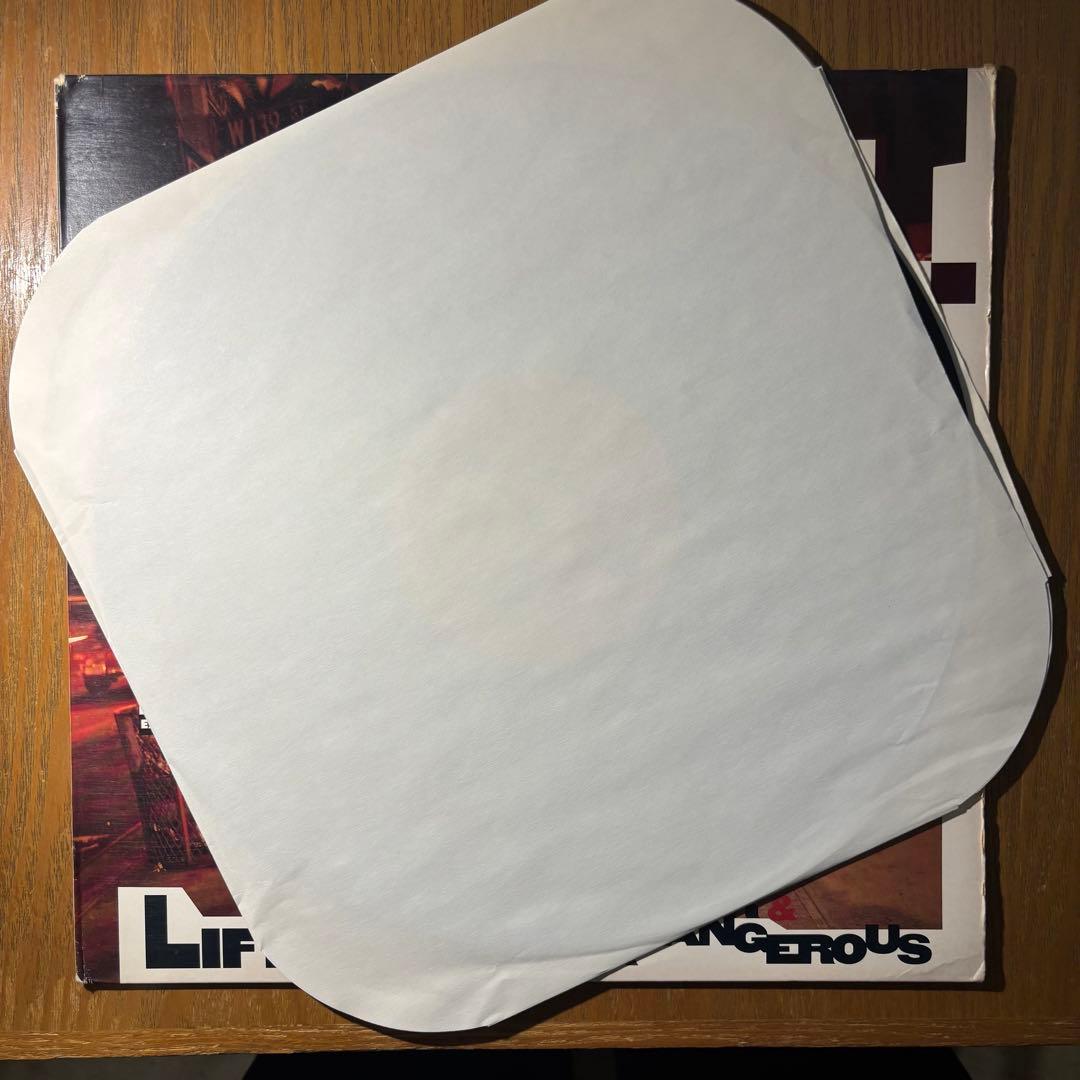 BIG L / ファーストアルバム USオリジナル LP 名盤