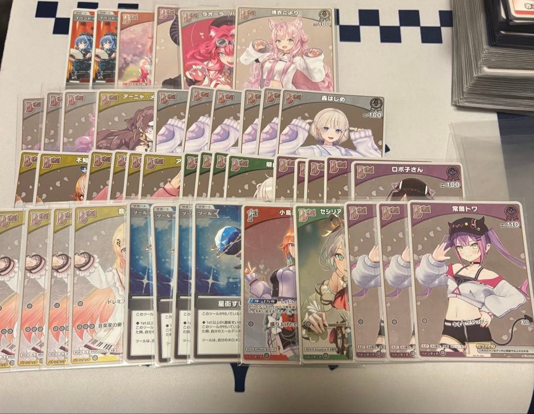 ホロカ　引退品