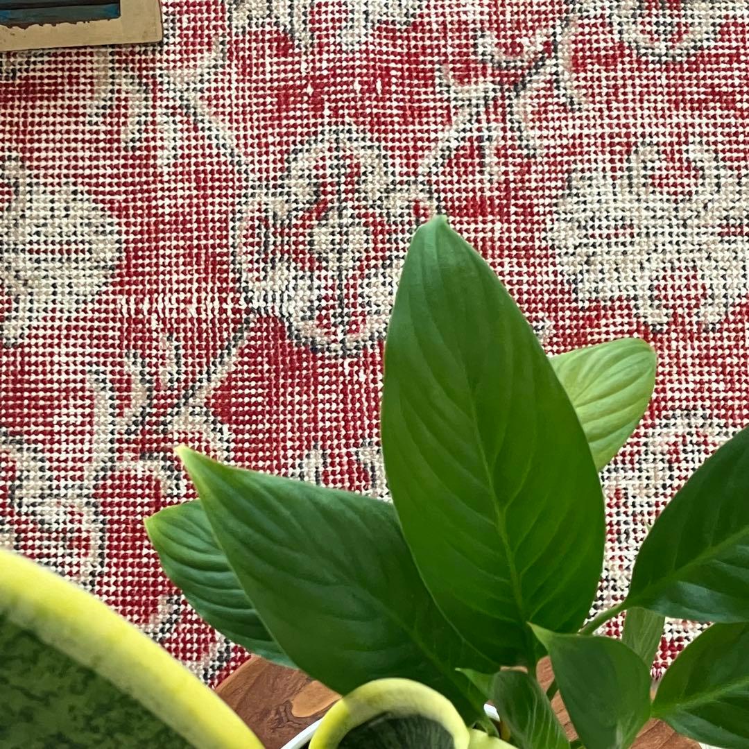 超ロング　シャビーレッド56×290✳︎紋章柄　ランナー　トルコヴィンテージラグ