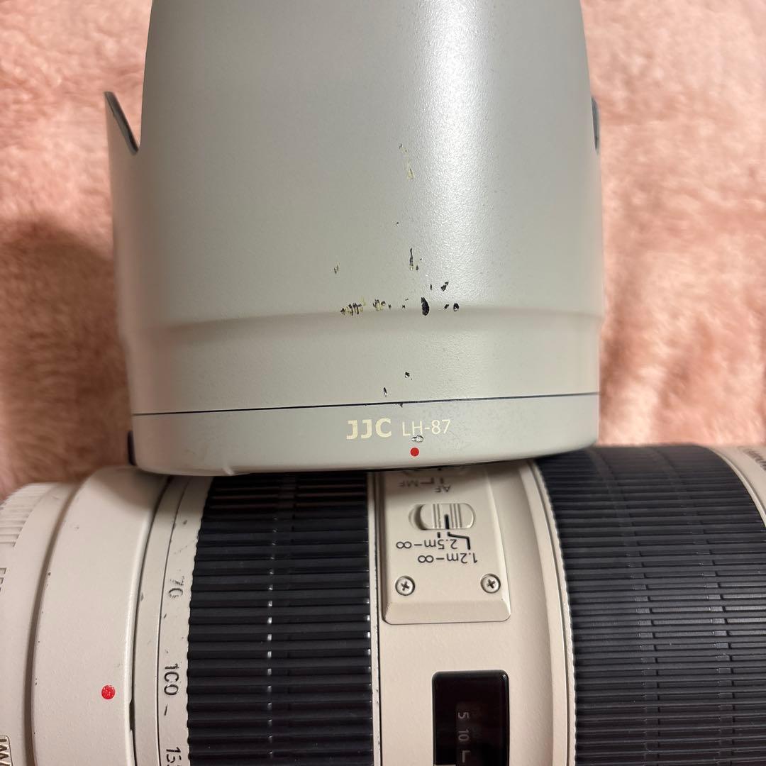 Canon ズームレンズ EF70-200mm F2.8L IS || USM