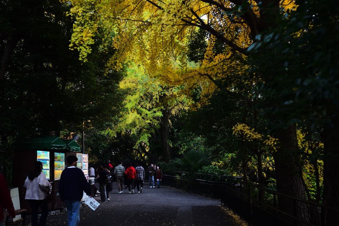 ライカ Summarit L50 F1.5 単焦点レンズ