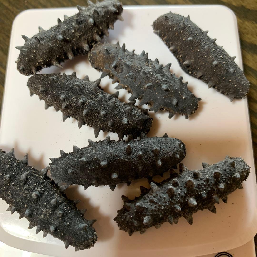 海の幸 7個セット 48g