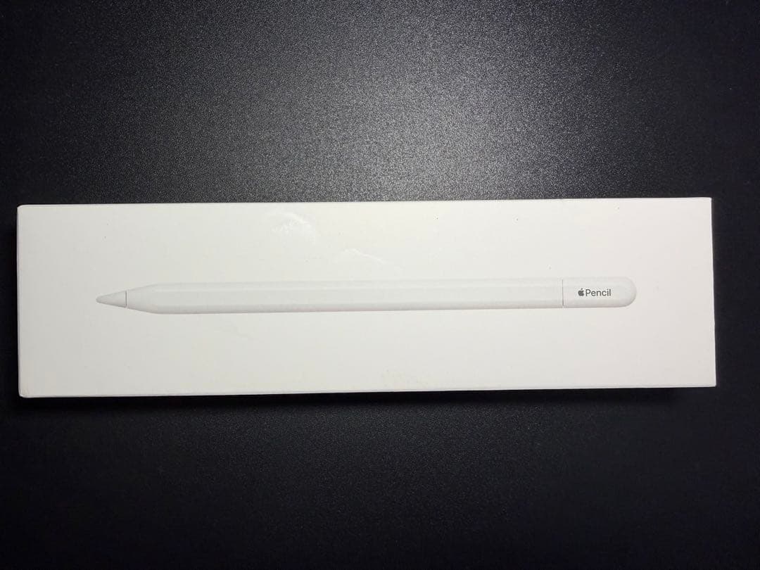 Apple Pencil アップルペンシル USB-C 純正