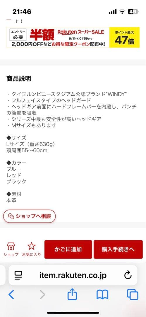 【美品】WINDY ヘッドギア 黒