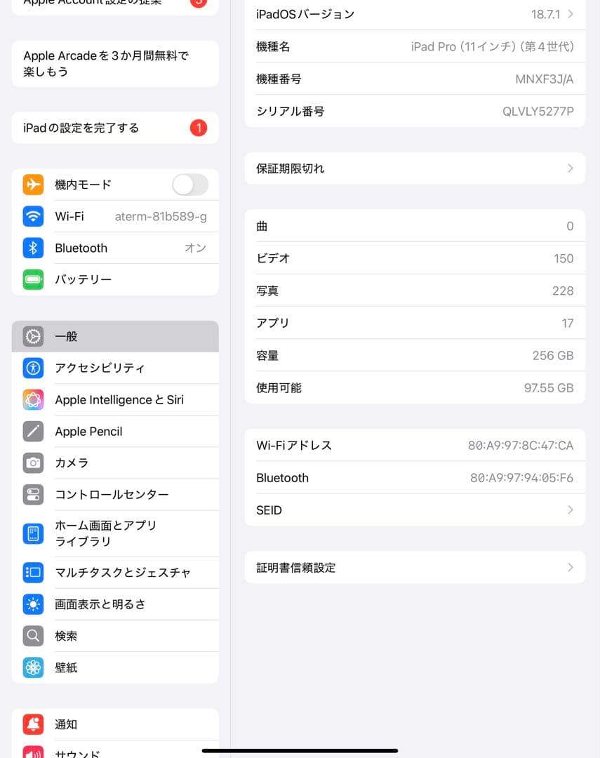 Apple iPad Pro 11インチ 4世代256GB